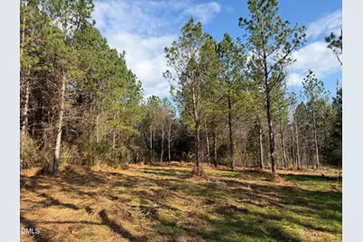 Lot 1 Wolf Tree Way, Efland, NC 27243 - Photo 27