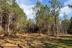 Lot 1 Wolf Tree Way, Efland, NC 27243 - Photo 27