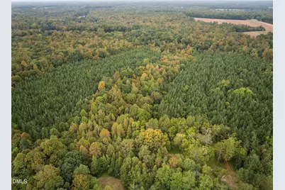 Lot E Wolf Tree Way, Efland, NC 27243 - Photo 29