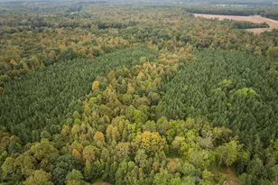 Lot E Wolf Tree Way, Efland, NC 27243 - Photo 29