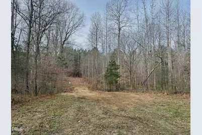 Lot D Wolf Tree Way, Efland, NC 27243 - Photo 31