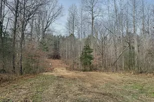Lot D Wolf Tree Way, Efland, NC 27243 - Photo 31
