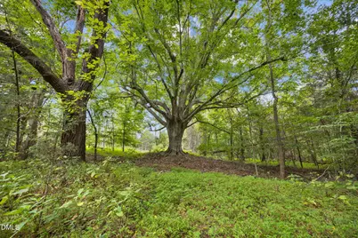 Lot D Wolf Tree Way, Efland, NC 27243 - Photo 29