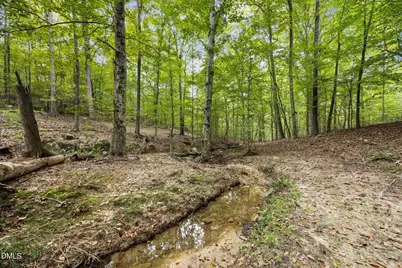 Lot D Wolf Tree Way, Efland, NC 27243 - Photo 21