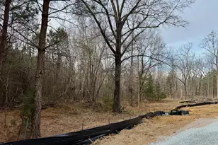 Lot D Wolf Tree Way, Efland, NC 27243 - Photo 37