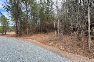 Lot D Wolf Tree Way, Efland, NC 27243 - Photo 39