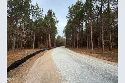 Lot D Wolf Tree Way, Efland, NC 27243 - Photo 27