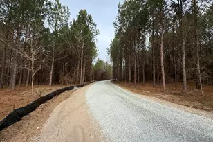 Lot D Wolf Tree Way, Efland, NC 27243 - Photo 27
