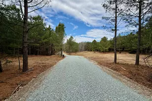 Lot D Wolf Tree Way, Efland, NC 27243 - Photo 35