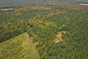 Lot 3 Wolf Tree Way, Efland, NC 27243 - Photo 23