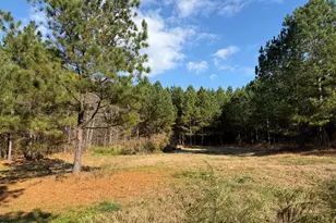 Lot 3 Wolf Tree Way, Efland, NC 27243 - Photo 29