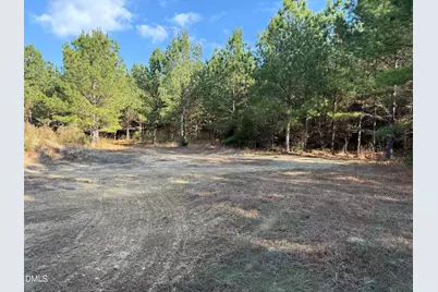 Lot 3 Wolf Tree Way, Efland, NC 27243 - Photo 27