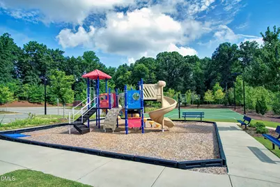 212 Mystic Pine Place, Apex, NC 27539 - Photo 61