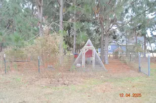 681 Polenta Rd, Smithfield, NC 27577 - Photo 29