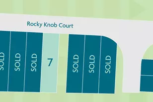 610 Rocky Knob Ct, Raleigh, NC 27601 - Photo 41