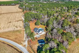 260 Freedom Rd, Smithfield, NC 27577 - Photo 69