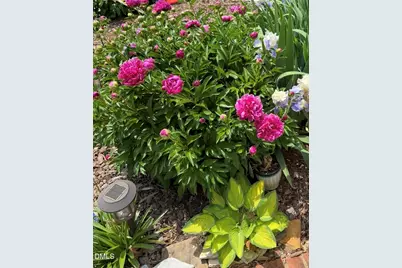 1220 Hillingdon Way, Raleigh, NC 27614 - Photo 41