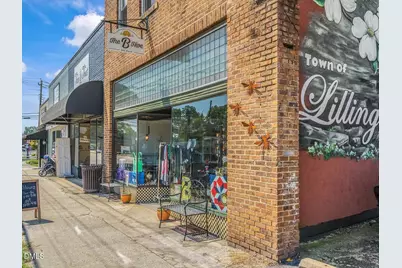 214 Harriette Court, Lillington, NC 27546 - Photo 47