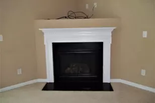 3003 Courtney Creek Blvd, Durham, NC 27713 - Photo 9