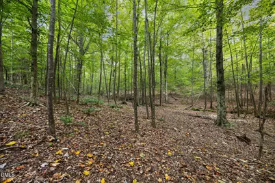 Lot 4 Wolf Tree Way, Efland, NC 27243 - Photo 25