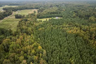 Lot 4 Wolf Tree Way, Efland, NC 27243 - Photo 23