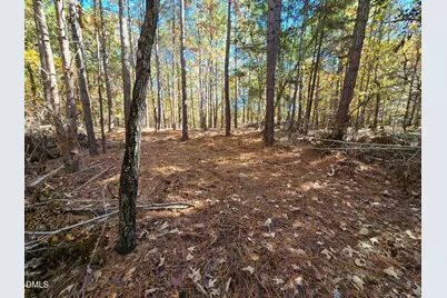 278 John Headen Road, Moncure, NC 27559 - Photo 5