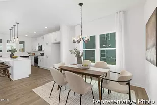 415 Plentiful Wy, Benson, NC 27504 - Photo 7