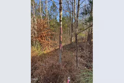 00 Matthews Drive, Henderson, NC 27537 - Photo 7