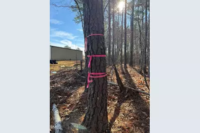 00 Matthews Drive, Henderson, NC 27537 - Photo 11