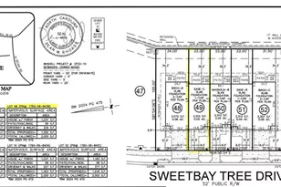 309 Sweetbay Tree Dr, Wendell, NC 27591 - Photo 5
