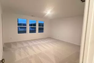 933 Glowing Star Ln, Angier, NC 27501 - Photo 23