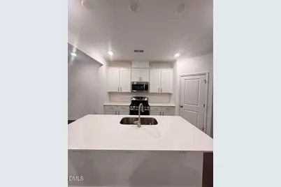 933 Glowing Star Lane, Angier, NC 27501 - Photo 11