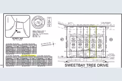 313 Sweetbay Tree Drive, Wendell, NC 27591 - Photo 5