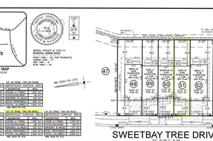 313 Sweetbay Tree Dr, Wendell, NC 27591 - Photo 5