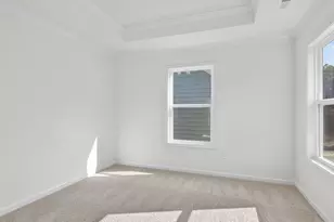 45 East Fire Opal Ct, Clayton, NC 27520 - Photo 19