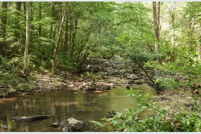 60 Clear Springs Court, Pittsboro, NC 27312 - Photo 3