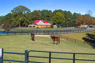 90 Paraggi Ct, Clayton, NC 27527 - Photo 71