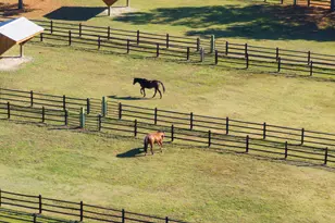 90 Paraggi Ct, Clayton, NC 27527 - Photo 83