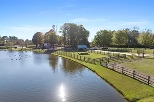 90 Paraggi Ct, Clayton, NC 27527 - Photo 69