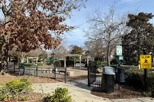 432 W Barbee Chapel Rd, Chapel Hill, NC 27517 - Photo 57