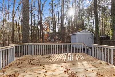 907 Castalia Drive, Cary, NC 27513 - Photo 21