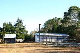 220 Jordan Narron Rd, Selma, NC 27576 - Photo 61