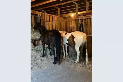 291 Meadow View Drive, Moncure, NC 27559 - Photo 49