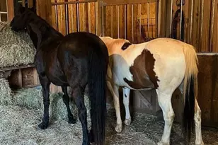 291 Meadow View Dr, Moncure, NC 27559 - Photo 49