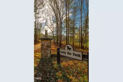 291 Meadow View Drive, Moncure, NC 27559 - Photo 53