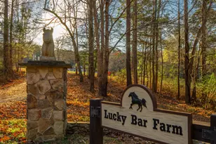 291 Meadow View Dr, Moncure, NC 27559 - Photo 53