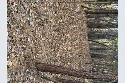 530 Crievewood Drive, Durham, NC 27712 - Photo 3