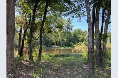 507 E Clydes Point Way, Wendell, NC 27591 - Photo 43