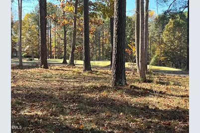 558 Chapel Ridge Drive, Pittsboro, NC 27312 - Photo 27