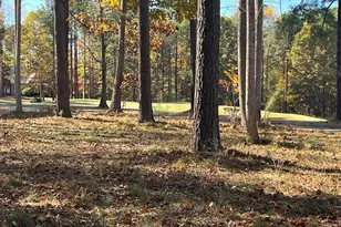 558 Chapel Ridge Dr, Pittsboro, NC 27312 - Photo 27